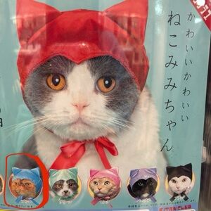 Blue Cat Costume Hat Gashapon